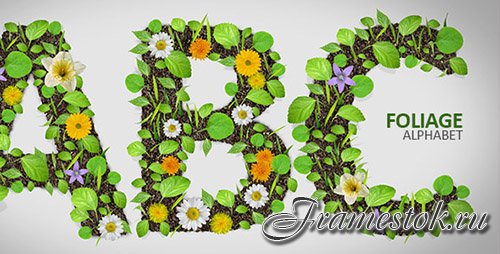 Foliage Alphabet - Project for After Effects (Videohive)
