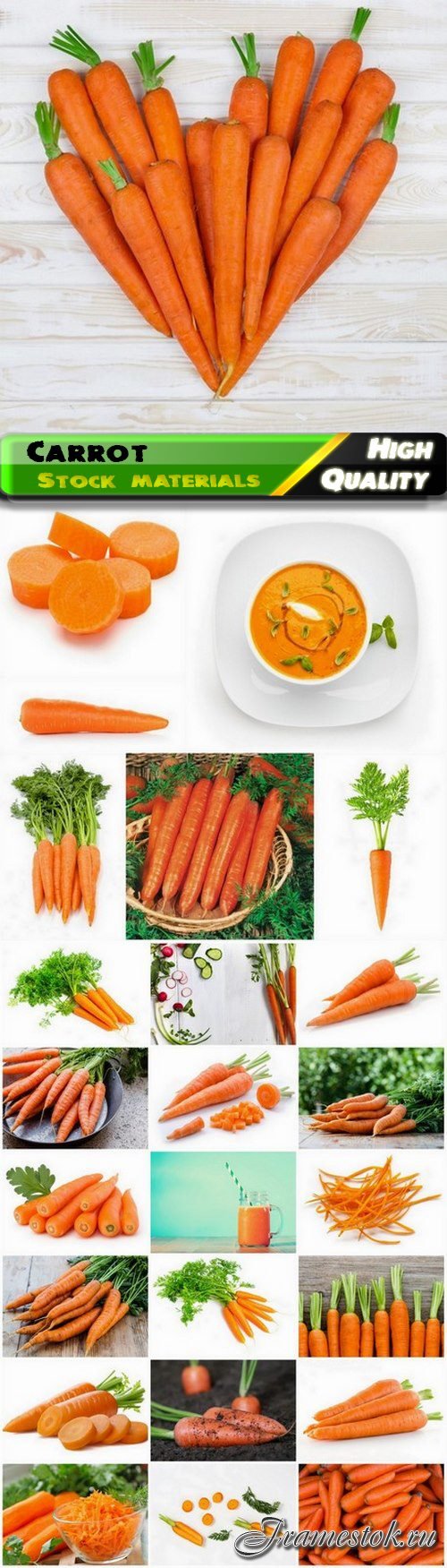 Carrot is genus of plants of the Umbilical family 25 HQ Jpg