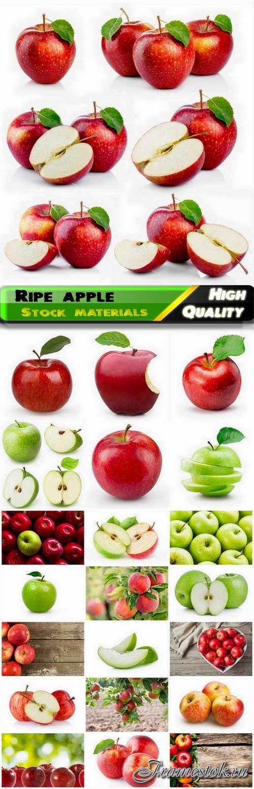 Ripe red and green apple fruits 25 HQ Jpg