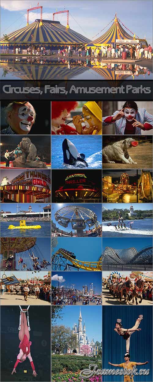 Circuses, Fairs & Amusement Parks