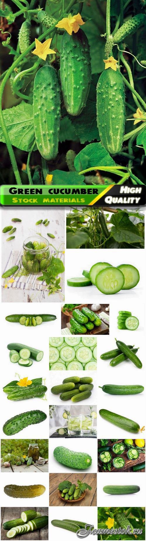 Green cucumber healthy food with vitamins 25 HQ Jpg