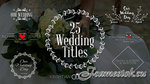 Wedding Titles 19761639 - Project for After Effects (Videohive)