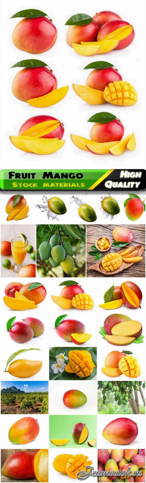 Fruit of the Mango family of the Anacardia family 25 HQ Jpg