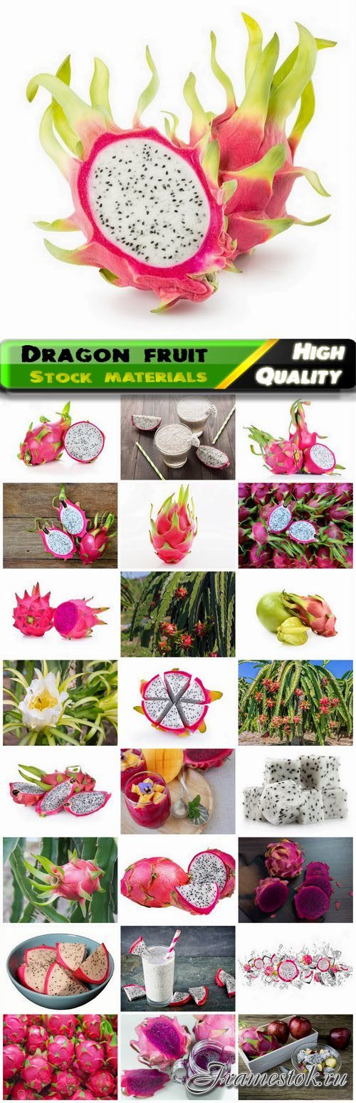 Dragon fruit or ripe pitahaya 25 HQ Jpg