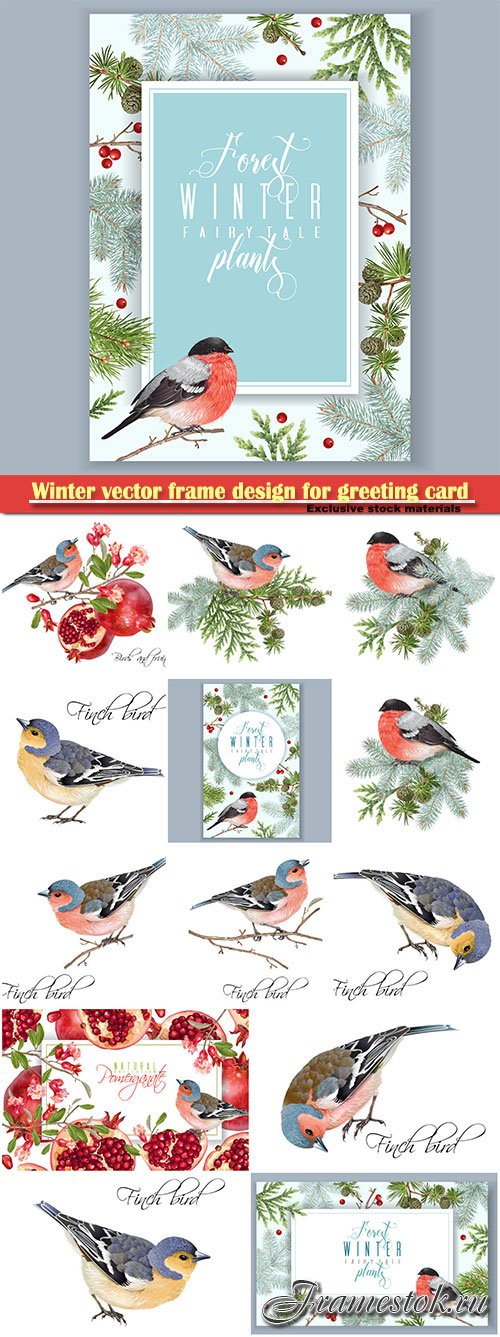 Winter vector frame design for greeting card with forest branches and bullfinch, Christmas party invitation