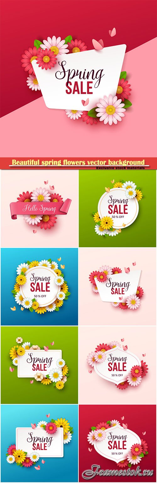Beautiful spring flowers vector background