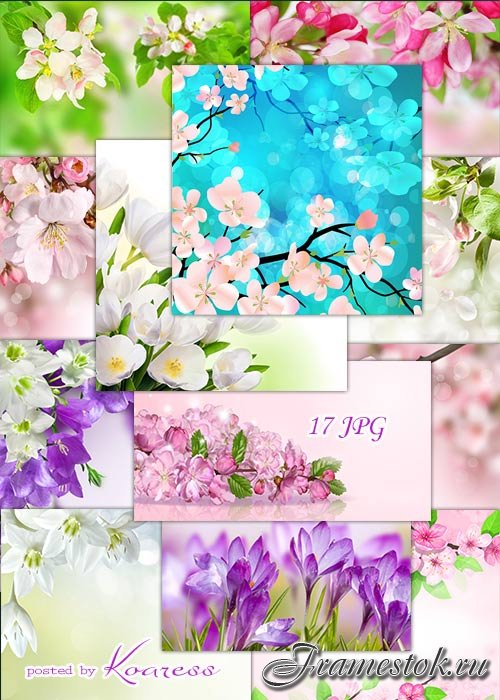 Подборка растровых фонов для дизайна - Весенние цветы
