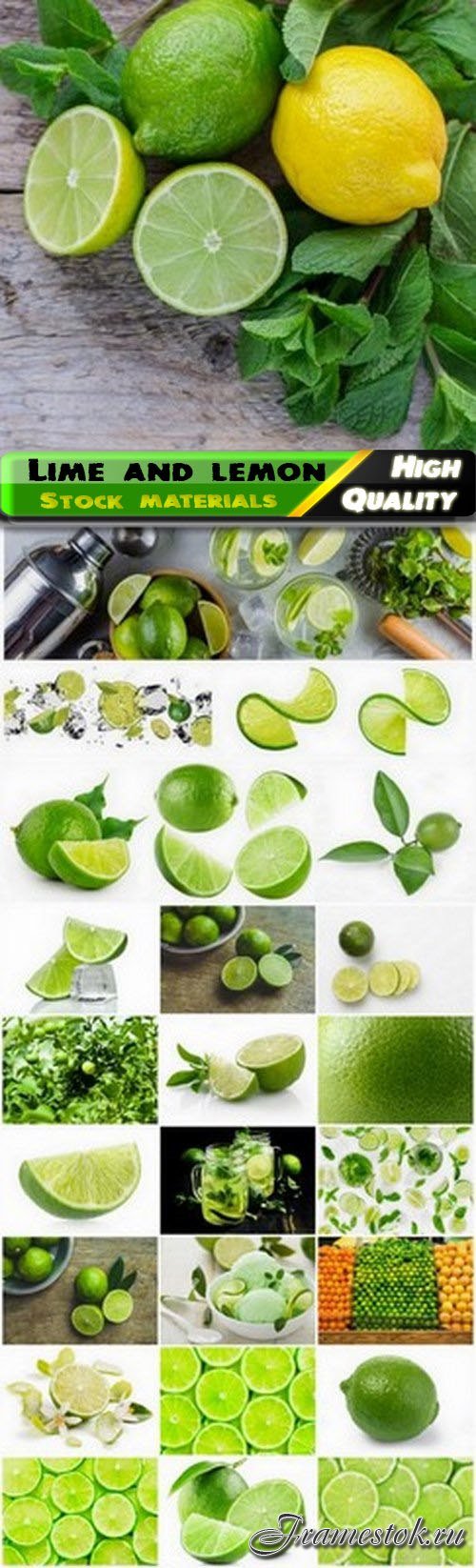 Lime fruit and slices of green lemon 25 HQ Jpg