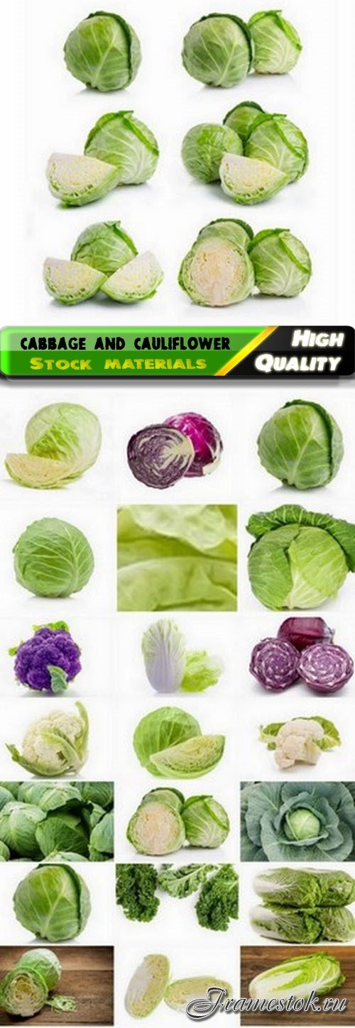 White and chinese cabbage and cauliflower 25 HQ Jpg