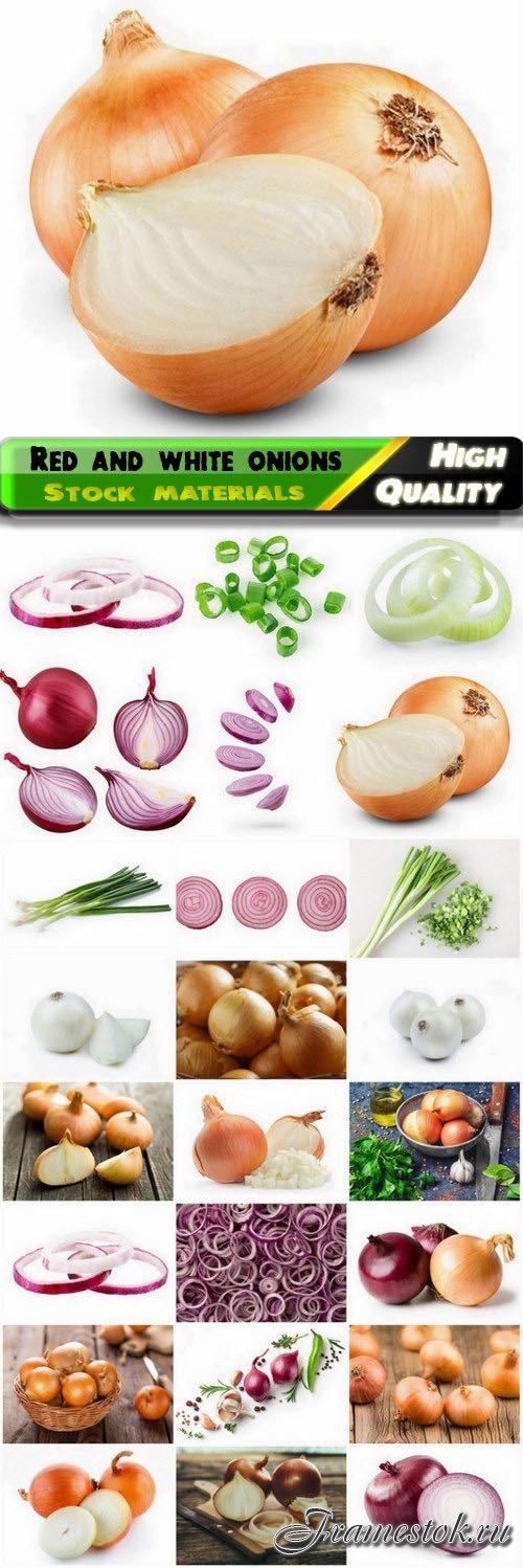 Red and white onions and green onion vegetable 25 HQ Jpg