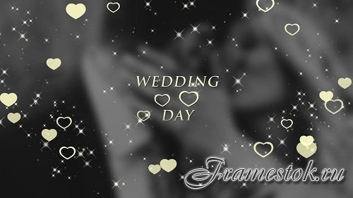 Wedding Titles 92645 - After Effects Templates