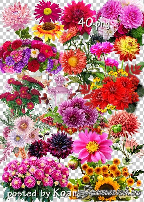 Клипарт на прозрачном фоне для дизайна - Осенние цветы, букеты, композиции с цветами