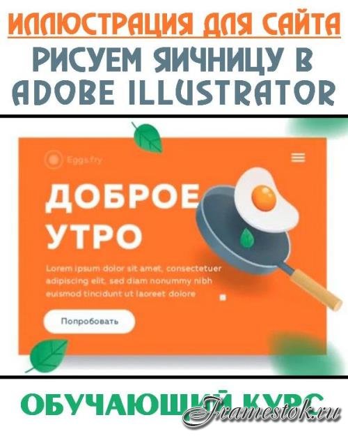   .    Adobe Illustrator (2019)
