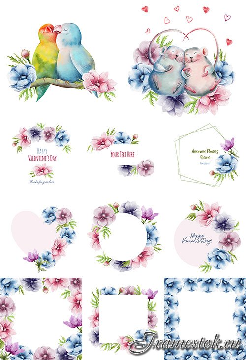       -   / Frames with anemone flowers - Vector Graphics