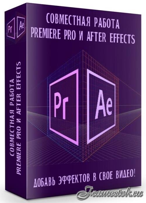   Premiere Pro  After Effects (2019)