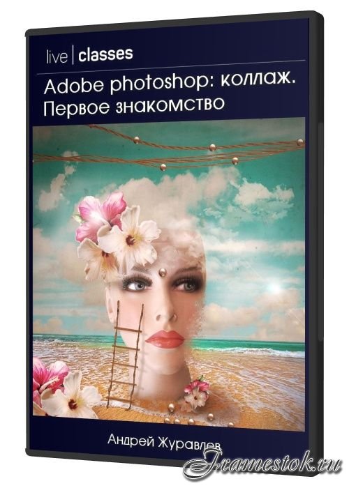 Adobe photoshop: .   (2020)