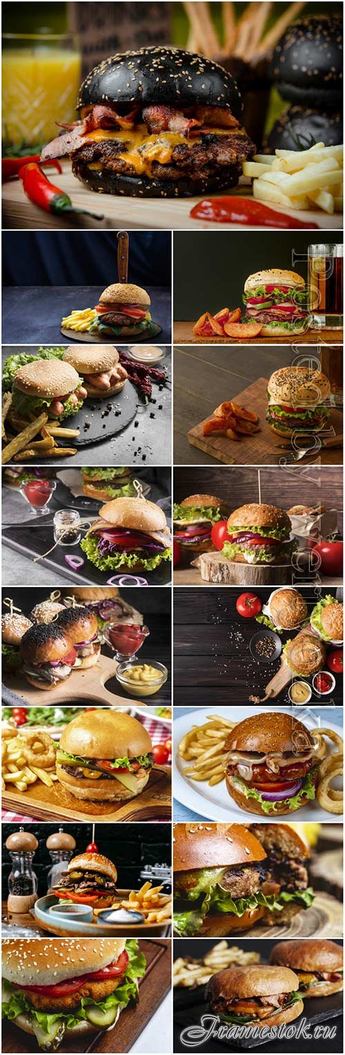 Gamburger with fries, fast food stock photo set