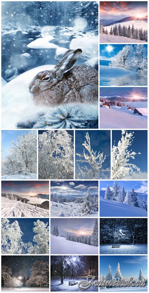 Beautiful winter scenery stock photo
