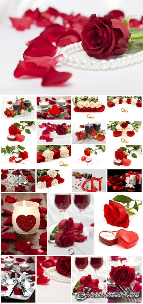 Romantic stock photos with roses and rings