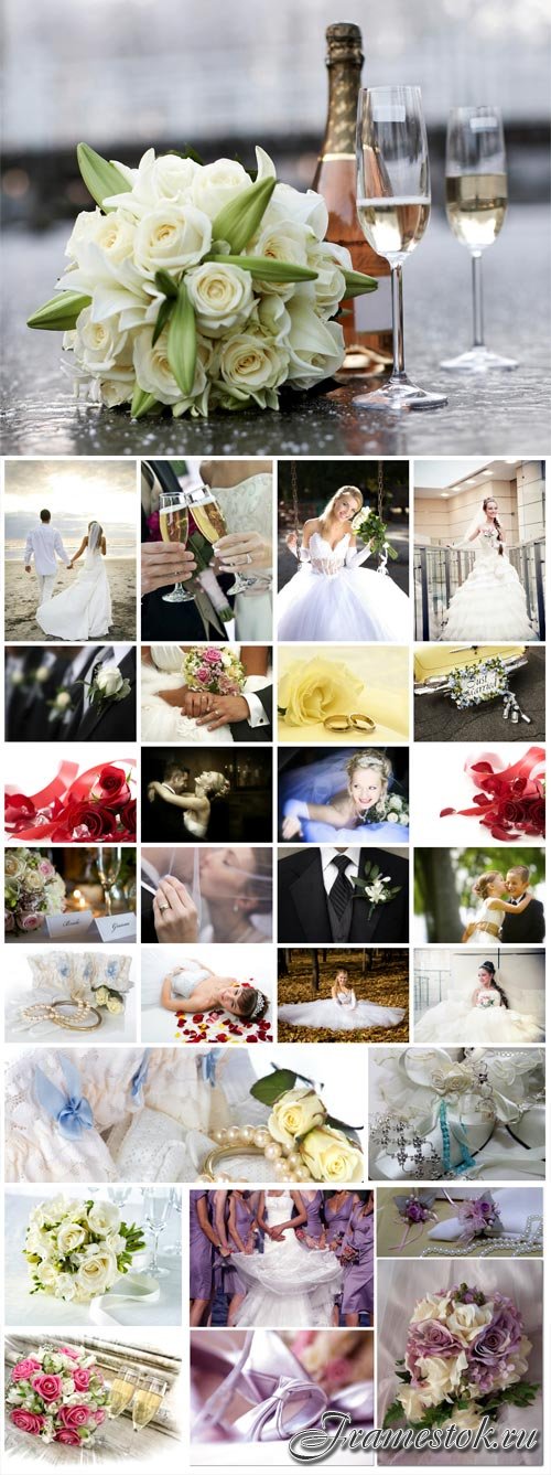 Wedding stock photos