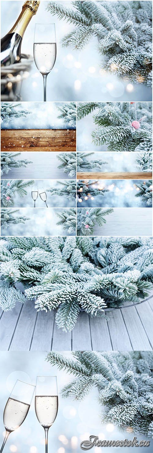 New Year and Christmas stock photos 67