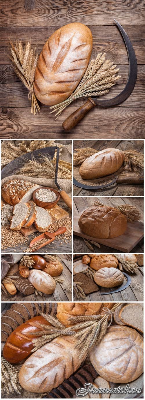 Bread and wheat on wood background stock photo