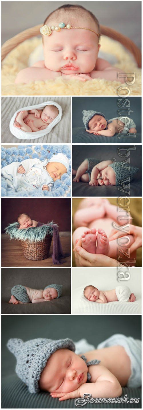 Sleeping newborn babies stock photo