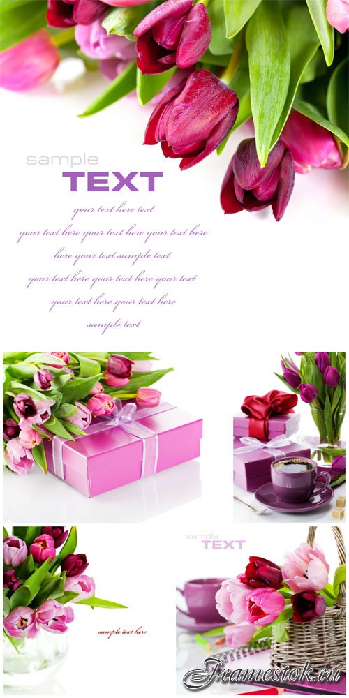 Tulips and gift boxes stock photo