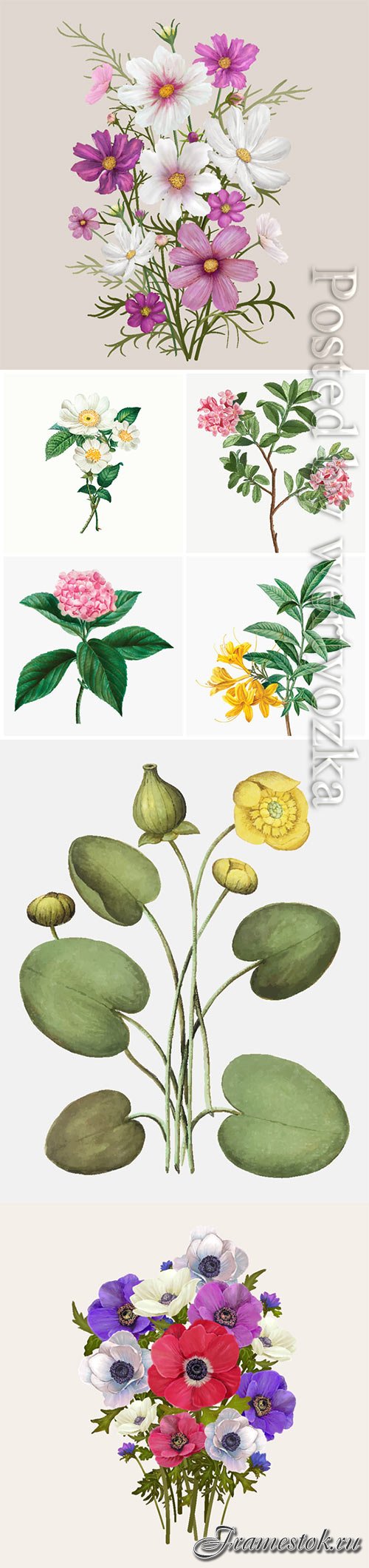 Vector different flowers