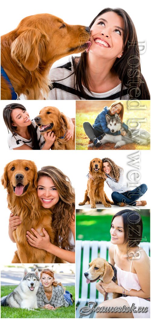 Women with dogs stock photo