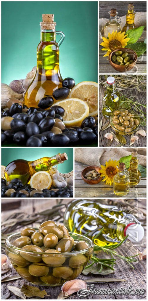 Olives stock photo