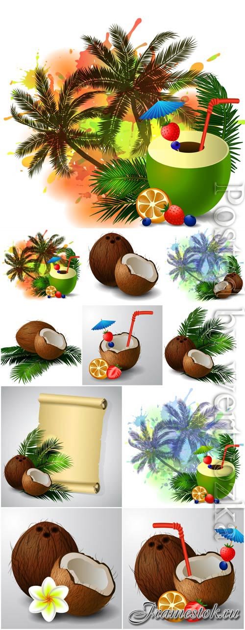 Summer illustration, coconut and palm trees in vector