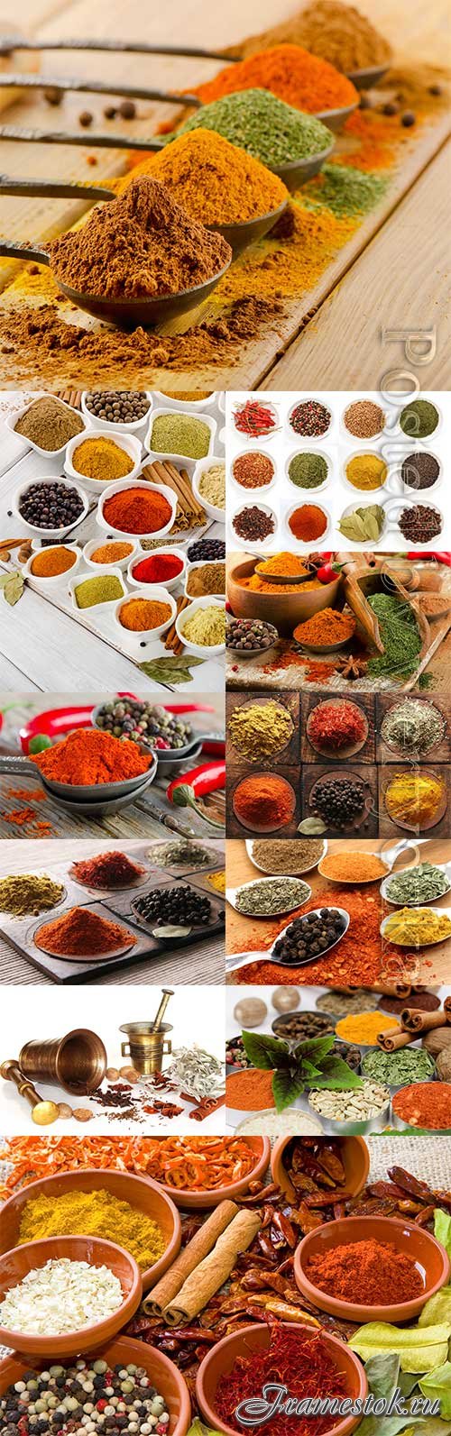Spices in various containers stock photo