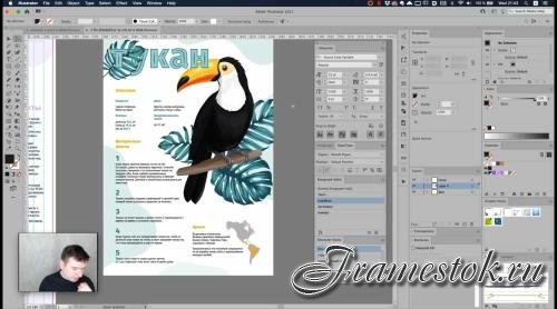 Adobe Illustrator.  .  c (2020)