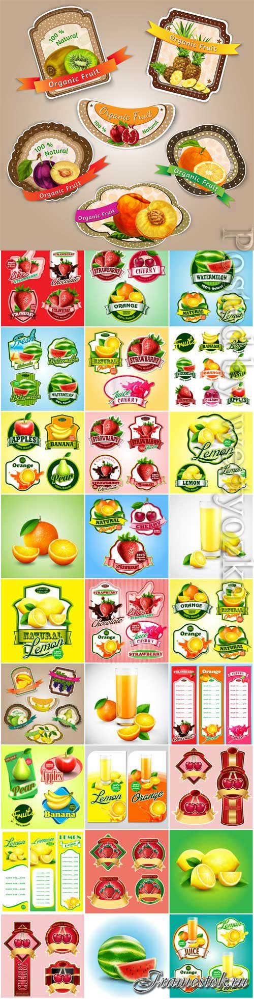 Labels and banners of fruits and berries in vector