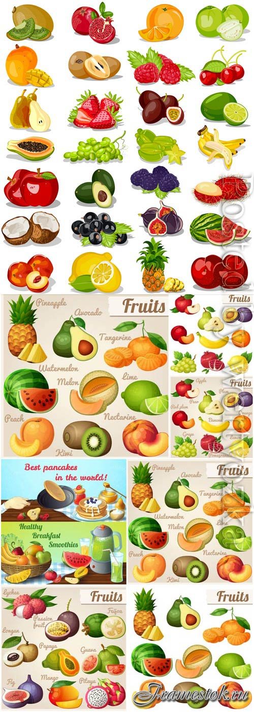 Set of tropical fruits and various berries in vector