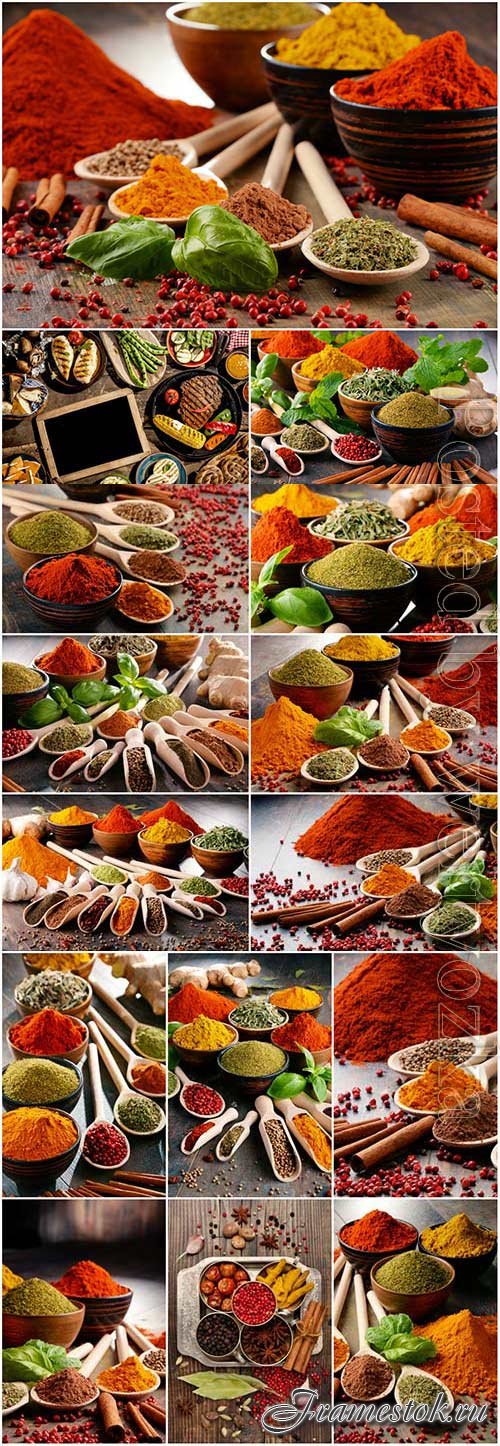 Various ground spices stock photo
