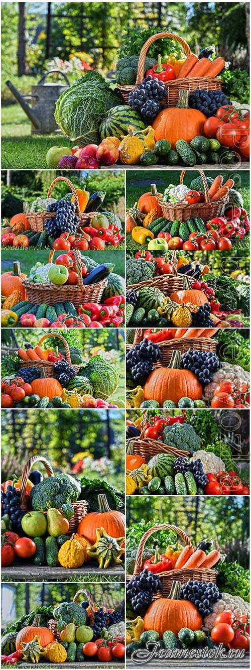 Baskets with fresh vegetables stock photo