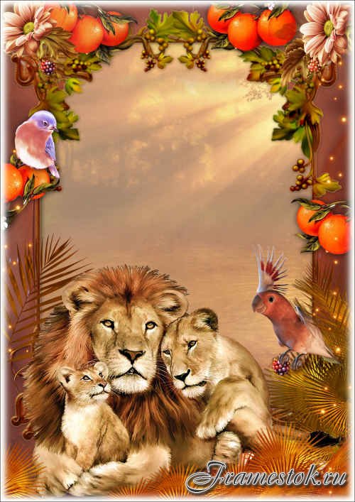 Летняя рамка для фото с семейством львов - Тропический рассвет