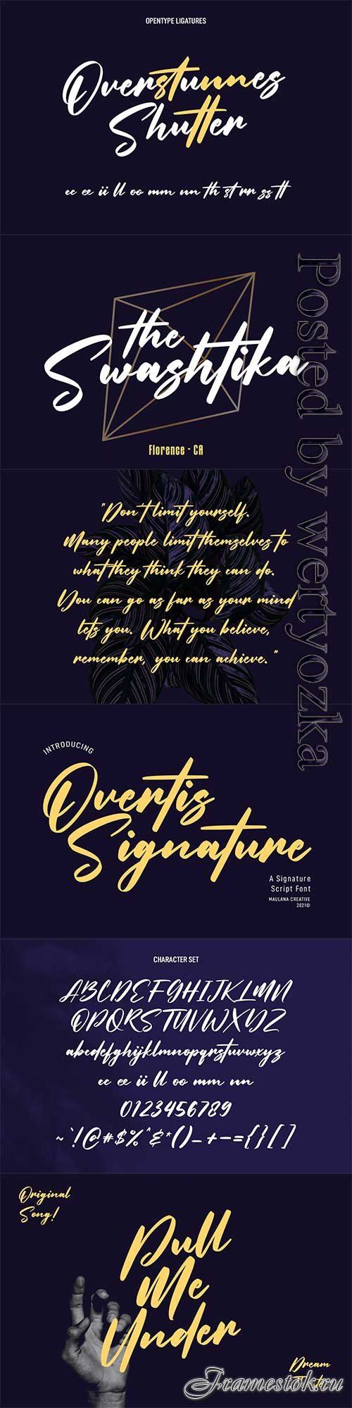 Overtis Signature Script Font 6361148